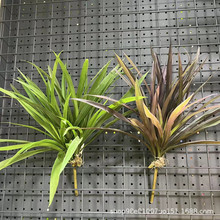 �¿������ܰ����m���~��ɫ�Gɫ���m���湤���쾰�b廨�Gֲ