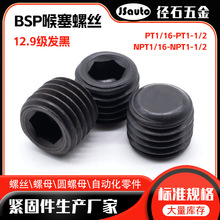 BSP˿ ֹ˿ DIN906ͷ˿ NPT1/16~2ͷ˿
