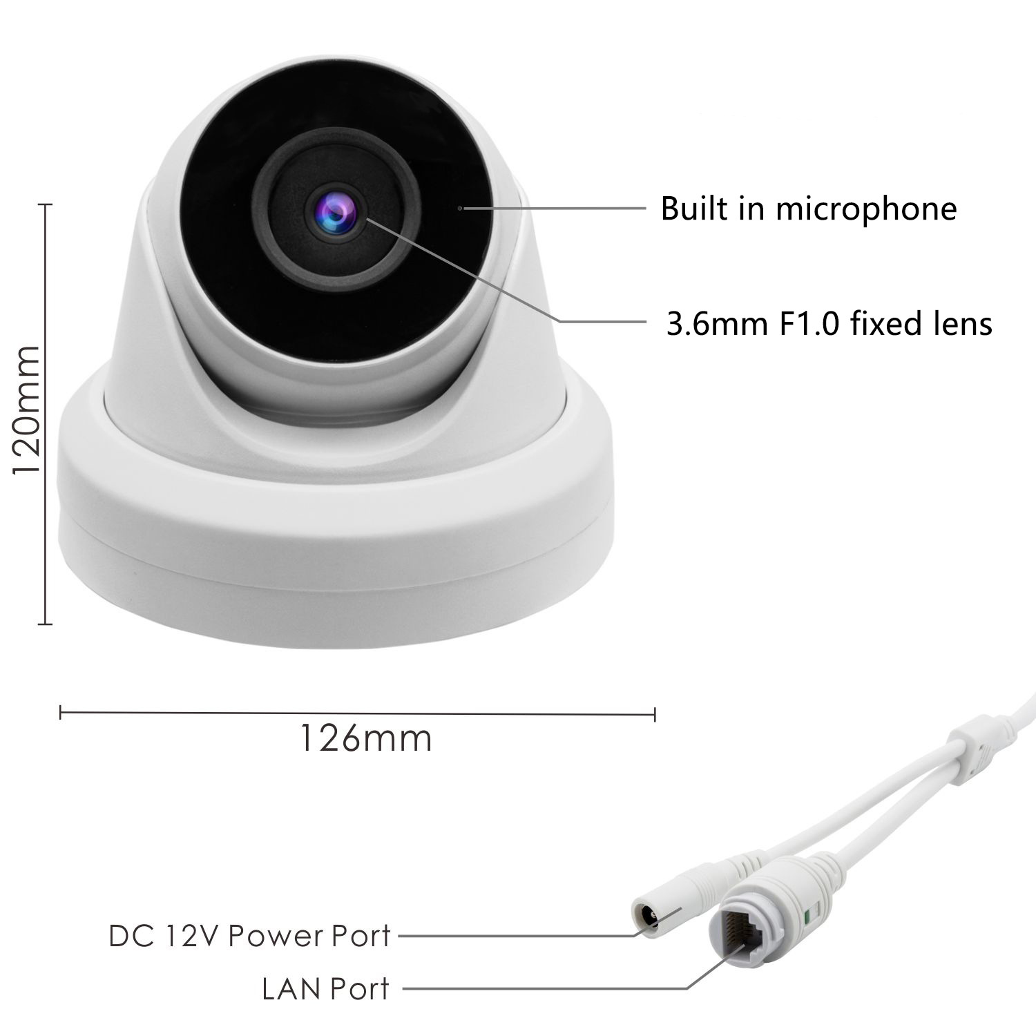 E33-尺寸-大猪嘴白