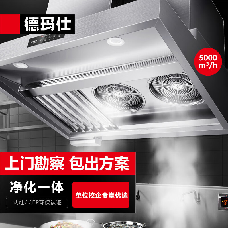德玛仕 商用油烟净化器一体机 校企食堂  大吸力低空排放