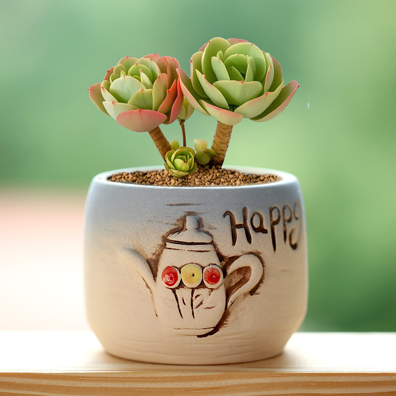 Creative Hand-Painted Succulent Flower Pots, Coarse Pottery Pots, Special Price Ceramic Indoor Succulent Small and Medium Flower Pots, Clearance Wholesale Street Stalls