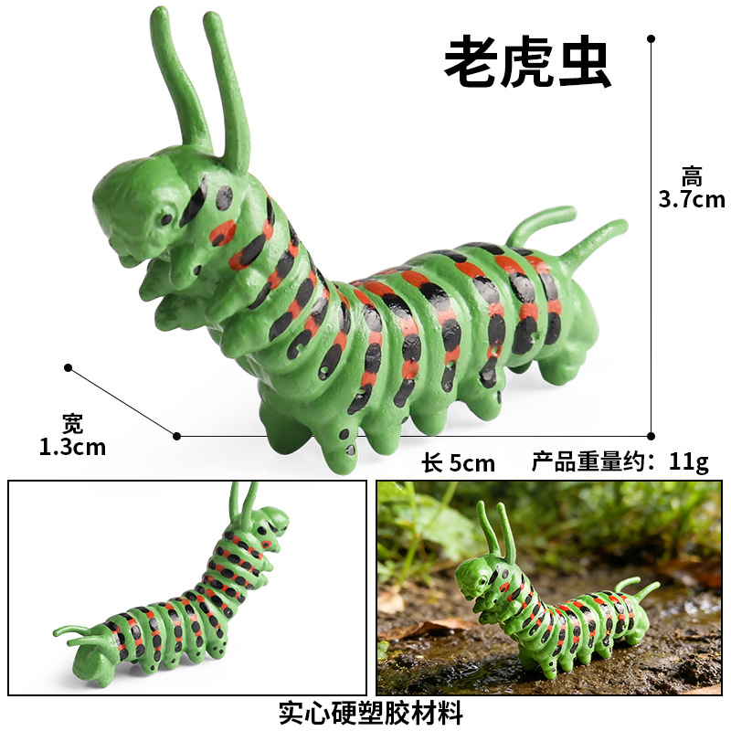 ZZ larva de gusano de tigre (verde)