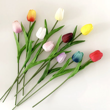 ����PU������ ���滨�Ӽ��b� ��c�ٻ��ָ�������S��ֱ�N���l