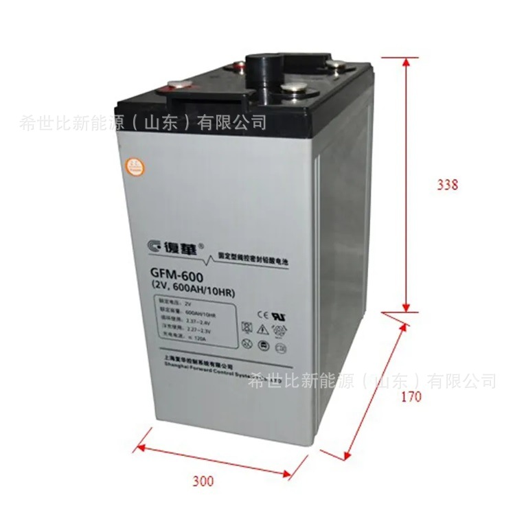 上海复华蓄电池GFM-600阀控式铅酸免维护蓄电池2V600AH电厂、电站