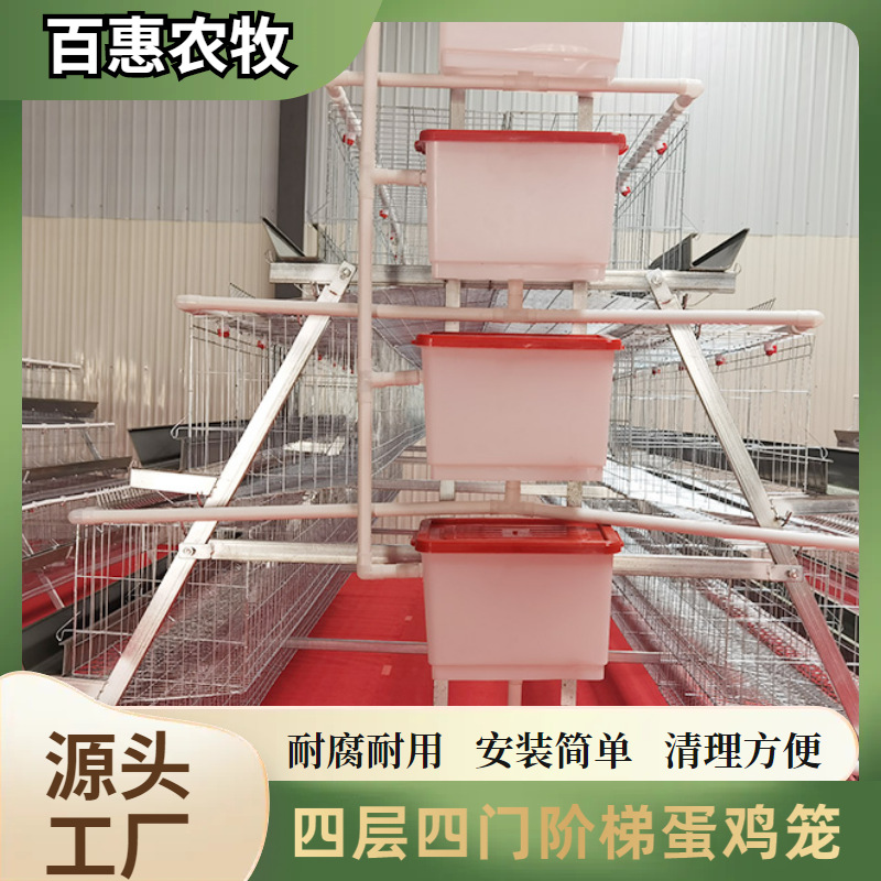 Equipo de jaula para pollos de cuatro niveles y cuatro puertas apilados para granjas. Fábrica de equipos de jaula para pollos tipo escalera galvanizada de múltiples niveles.