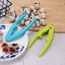 P_Ѫ๦ܻQA_Ѫ򄃸r_