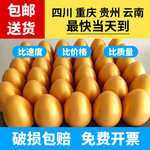 重庆砸金蛋包邮开业庆典活动抽奖道具四川周年庆彩蛋节庆用品