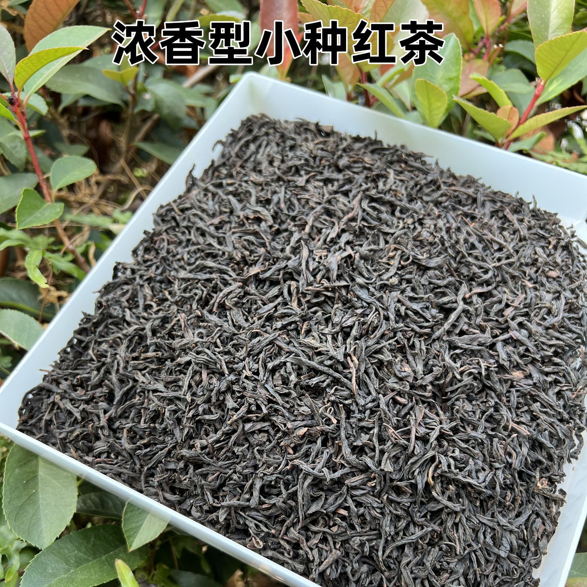 正山小种红茶散茶批发花蜜香奶茶原料饮料茶叶泡袋茶电商款批发