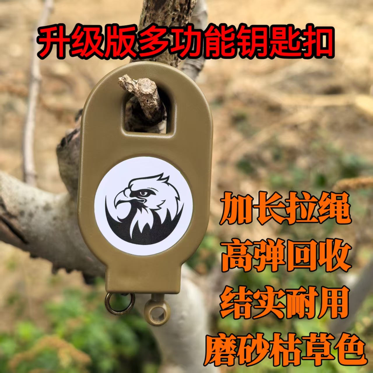 微信图片_20250525115531