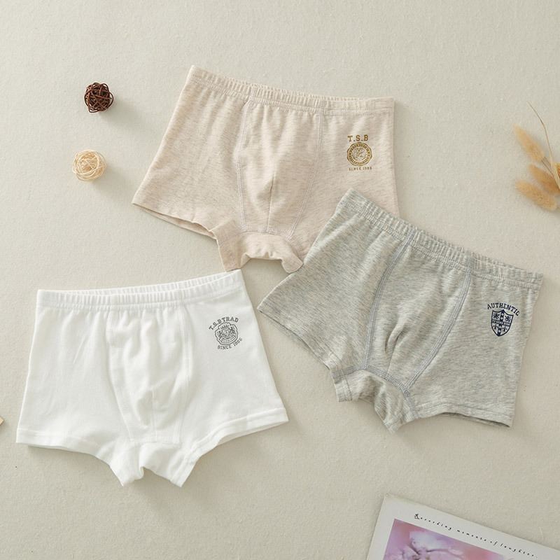 Children's Underwear Boxer Shorts Boys' Shorts Four Seasons Pure Cotton Class A Small and Medium-sized Children's Pants Baby's Underpants Don't Clip PP