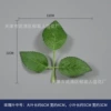 Rose leaf medium