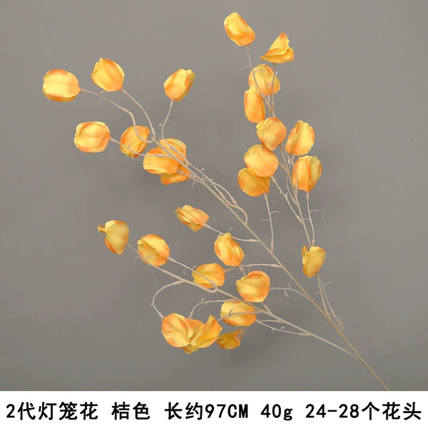 2nd generation lantern flower orange