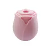 Pink (with packaging)