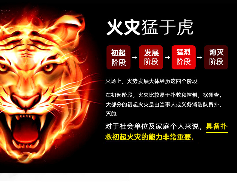 Shanpu 600ml Car Fire Extinguisher Portable Small Water-Based Vehicle Fire Extinguisher Household Fire Fighting Equipment