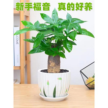 �lؔ��͏d���Դ󻨻ܽ��X���҃ȾG�}���F��ˮ��Gֲ����B��ؔ