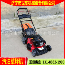 世东公园草坪割草机 手扶自走式草坪修剪机 21寸自走式草坪机价格