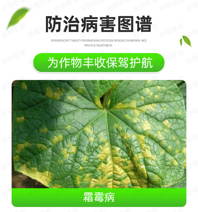 必拓吡唑醚菌酯_03.jpg