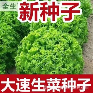 �������˷N������������ļ����ͻ��~���˴����ļ��߲˷N�Ӵ�ȫ