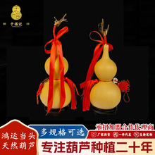 �۸���ҾӺ��J�[����Ȼ���J��ˇƷ�YƷ��������غ��J�[��