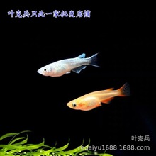 ��ˮ�^�p�~�͵͜؃������^�����F�~ �׽��^��  �S���^���ټt�^��