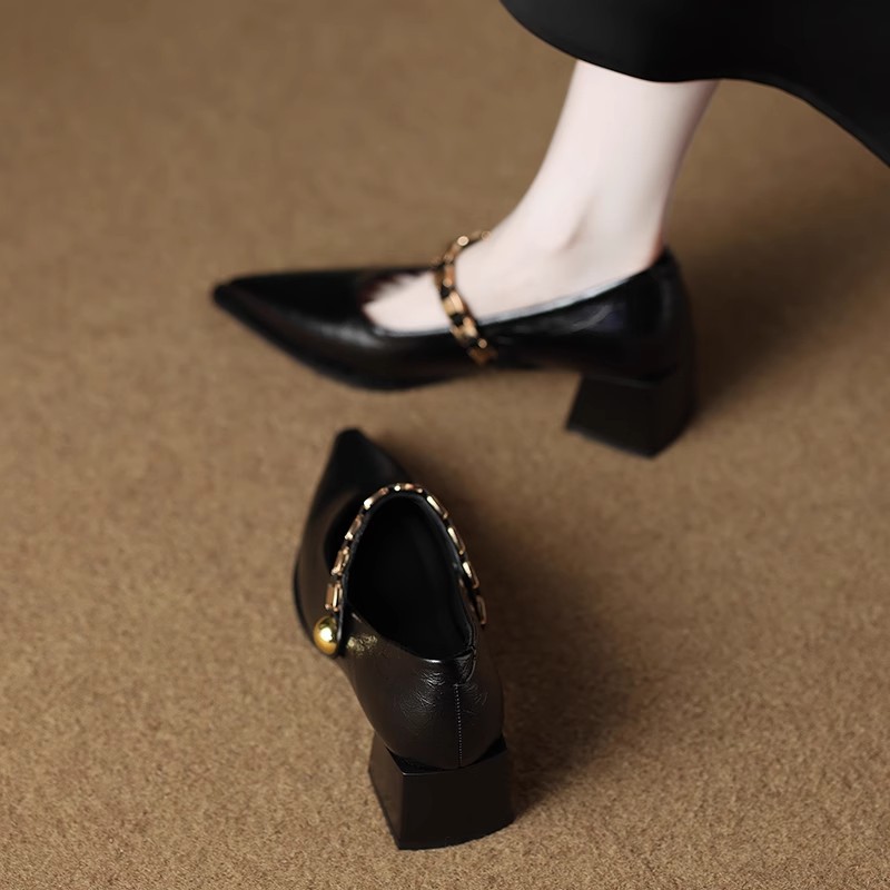 New Version of Beautiful French Pointed Toe High-Heeled Autumn Shoes for Women 2025 Autumn Style Mary Jane Shoes with Skirts