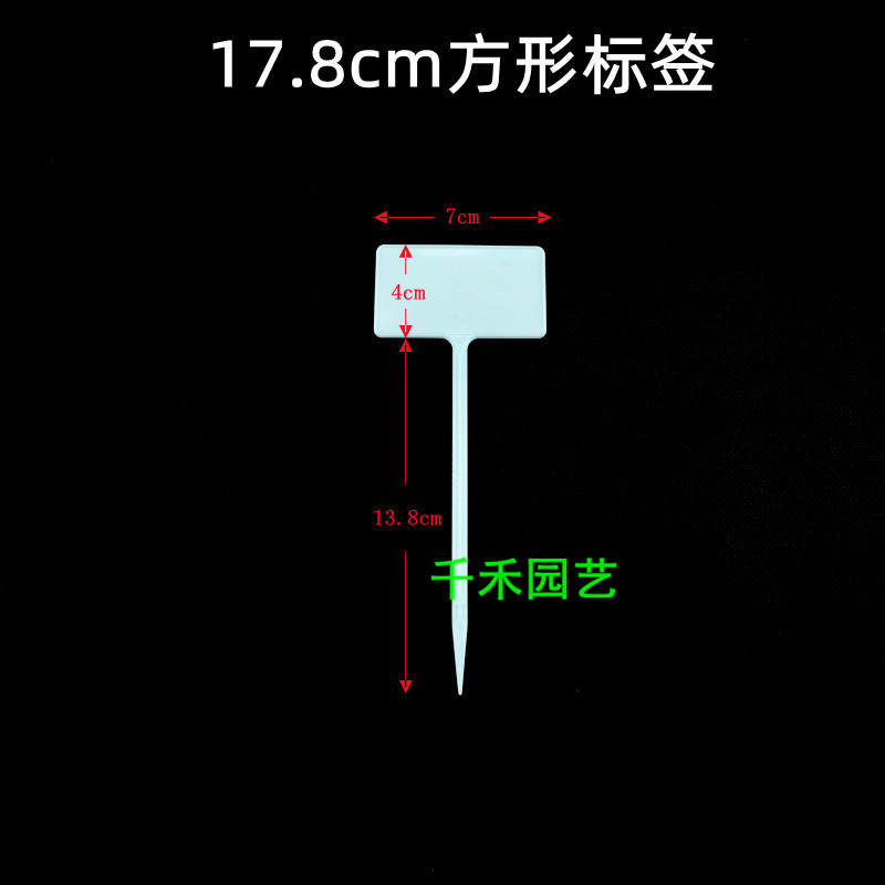 Blue 17.8cm square label