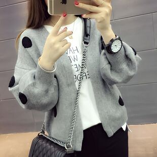 2025�괺���¿���������_���r�����⌒�ɲ��cᘿ�������_������