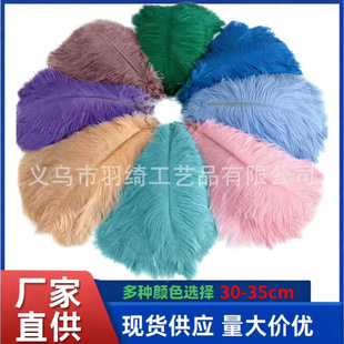 ���l�r�Bë30-35cm�r�Bë��c·�������[����Y�b͏d�[�O�r�B