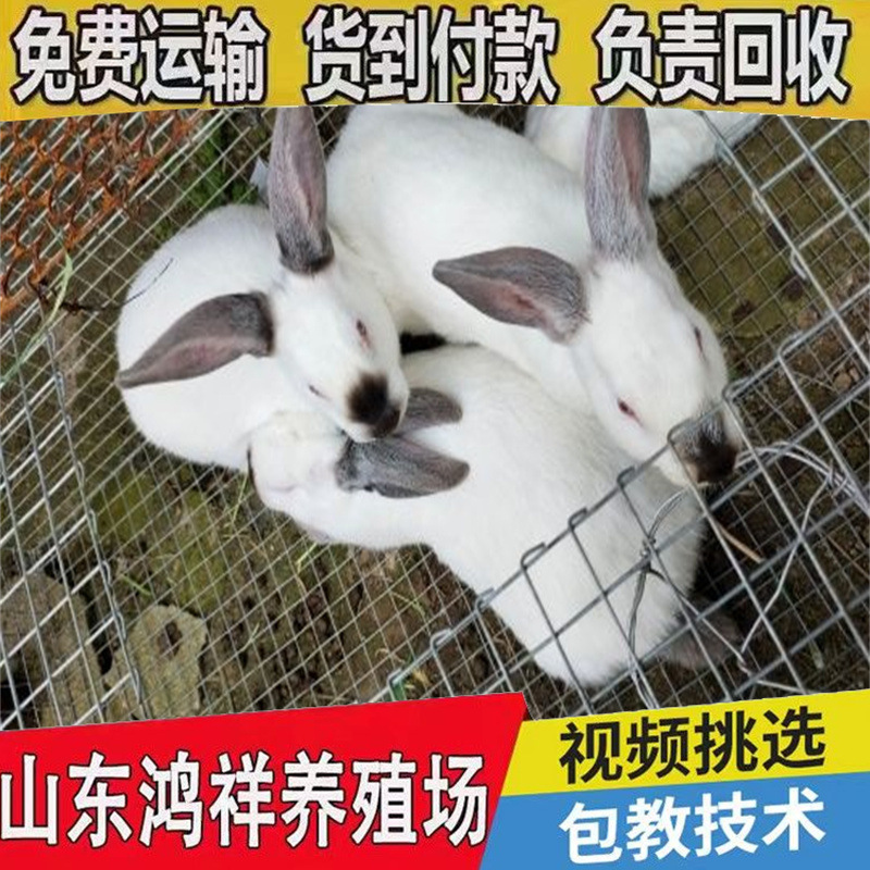 d56f671f964e404381288b0465b169