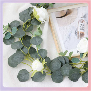 ?�ȼ����ٗl��ֲ���~�������p�@��������ins���ϻ�c�����b