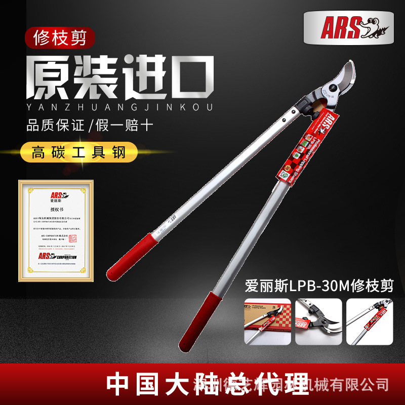 爱丽斯（ARS）大力剪粗枝剪修枝剪果树剪园艺工具整枝剪园林工具