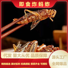 新鲜即食蚂蚱油炸现炸香辣蝗虫零食麻辣食用油炸蚂蚱休闲特产代发