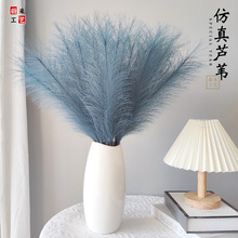 滨JȔȔٻ˹bJȔɻlJȔȔ