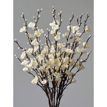 F 75631 Temu New Design Ready to Ship Bohemian and