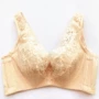 调整型聚拢背心式蕾丝胸罩