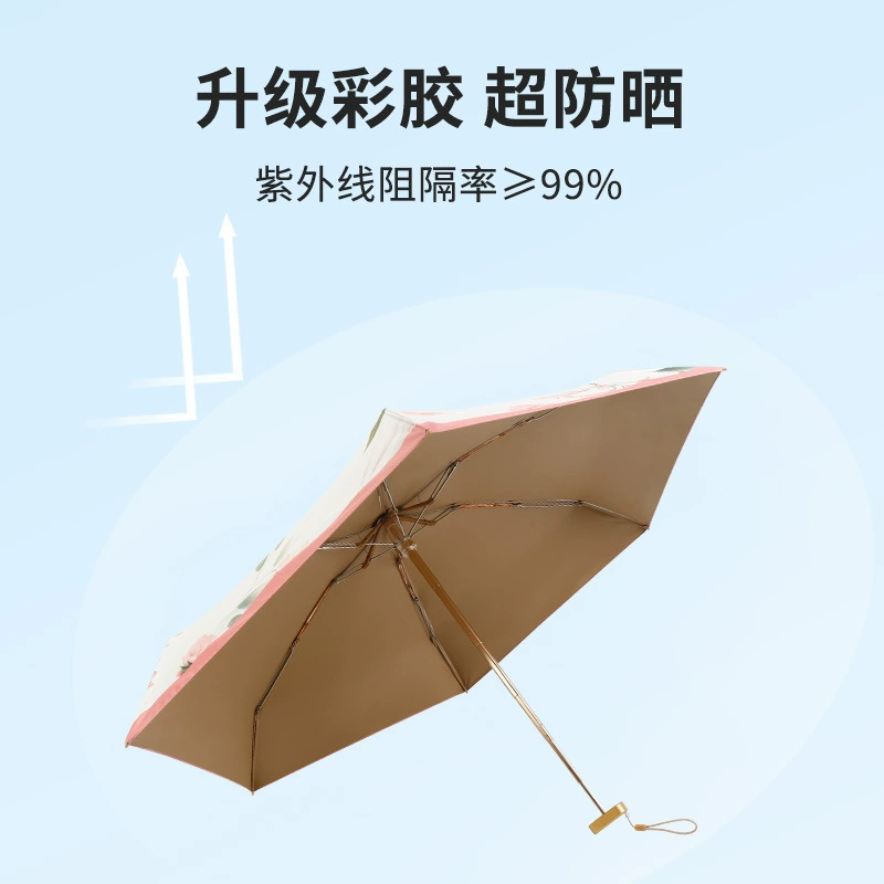 Cards solar-powered, fresh folding umbrella, new collection, sun protection