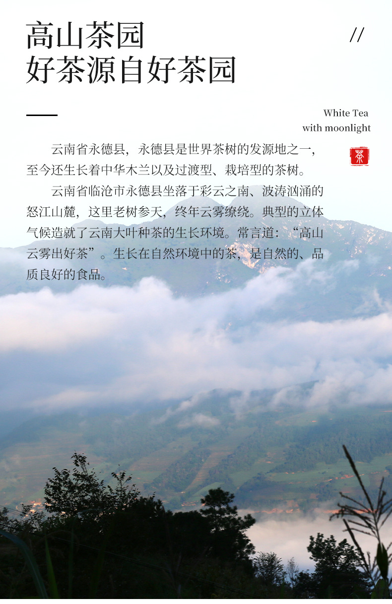 详情_05