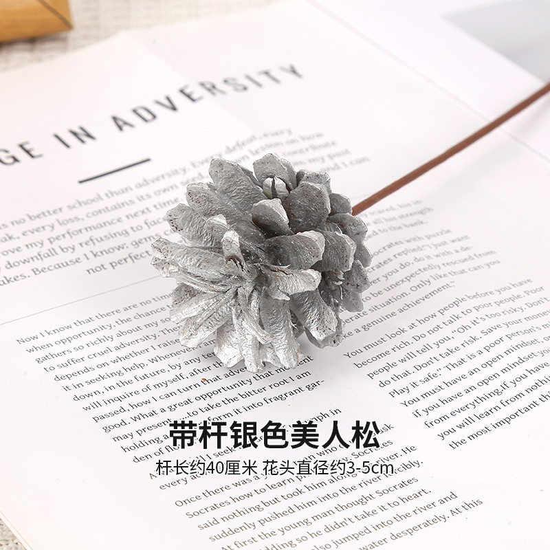 줄기가 있는 실버 뷰티 파인