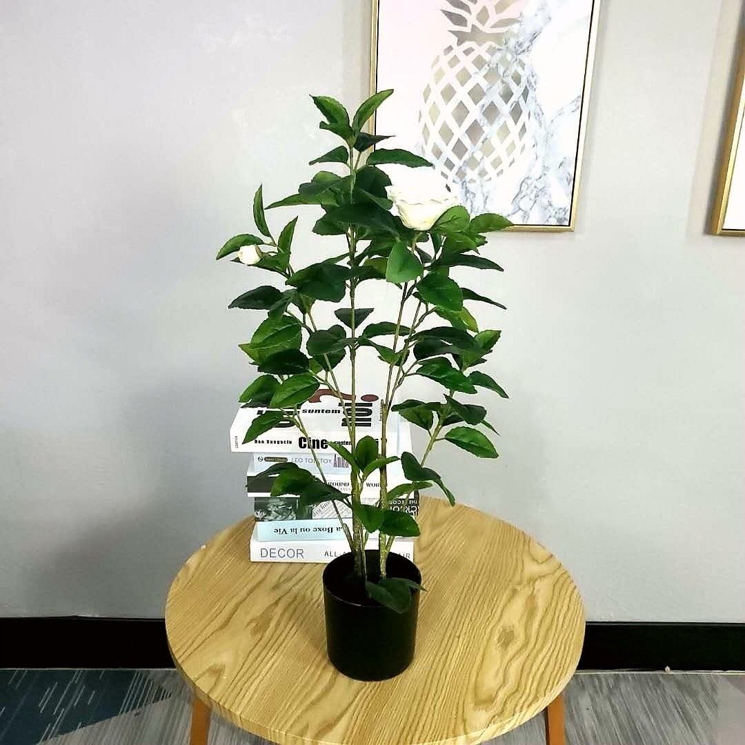 微信图片_20200619093744