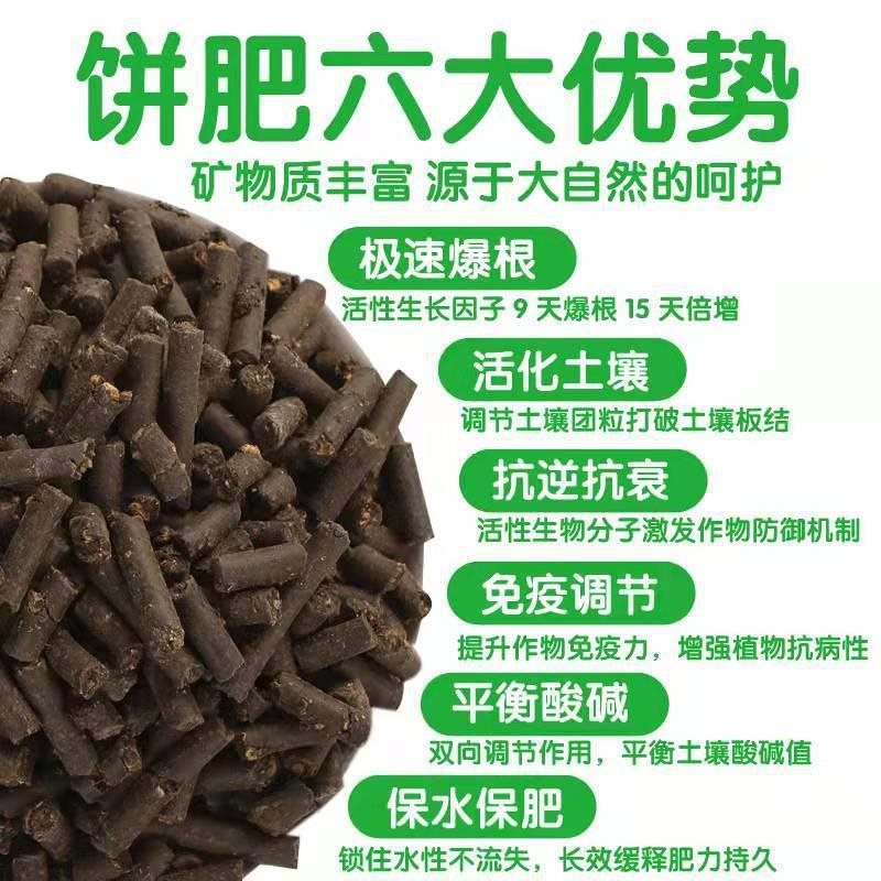 Fertilizante floral para maceta doméstica fertilizante floral general fertilizante orgánico torta de colza fermentación torta de frijol fertilizante floral fertilizante verde