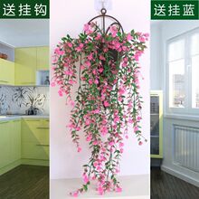 ����젝ֲ������õ�廨���m�����bڒ��ٗl�͏d�҃ȵ��@�ٻ��S