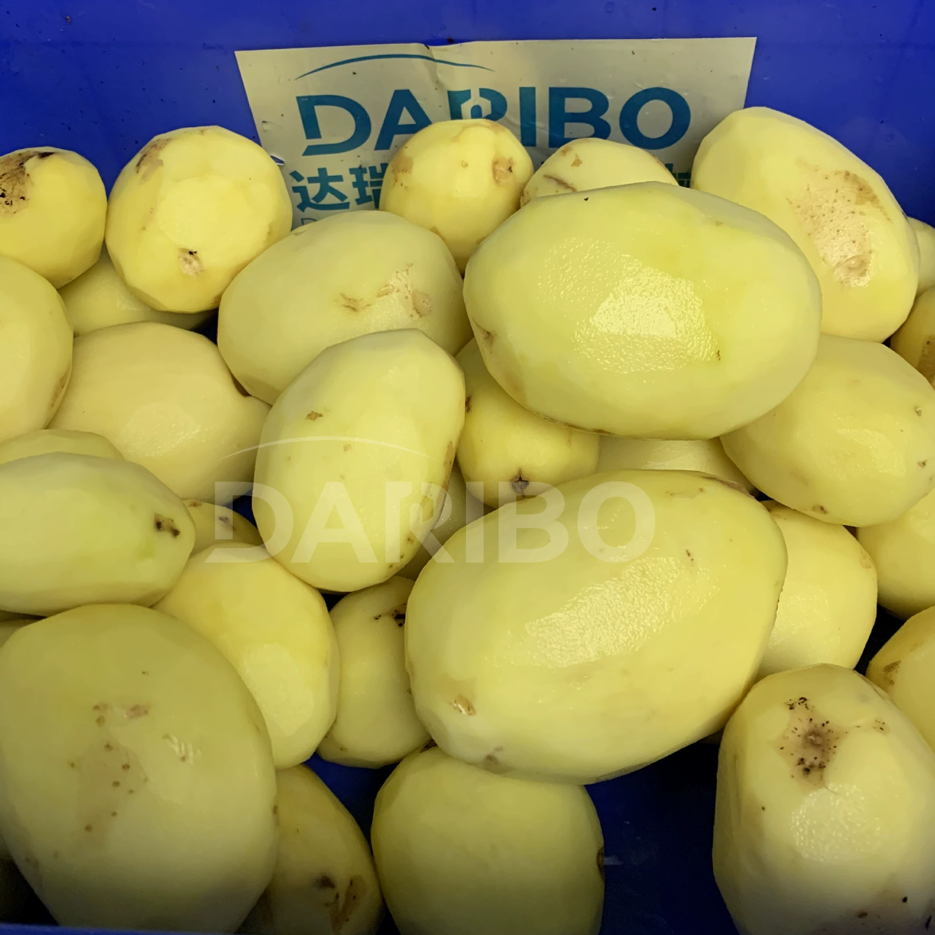 L Машина для очистки картофеля Очищающая машина для обработки картофеля Коммерческая машина для измельчения картофеля