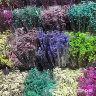 �����ɫ�ɻ����l����С�׻����l������ˇ����ֹ�DIY����С�׻�