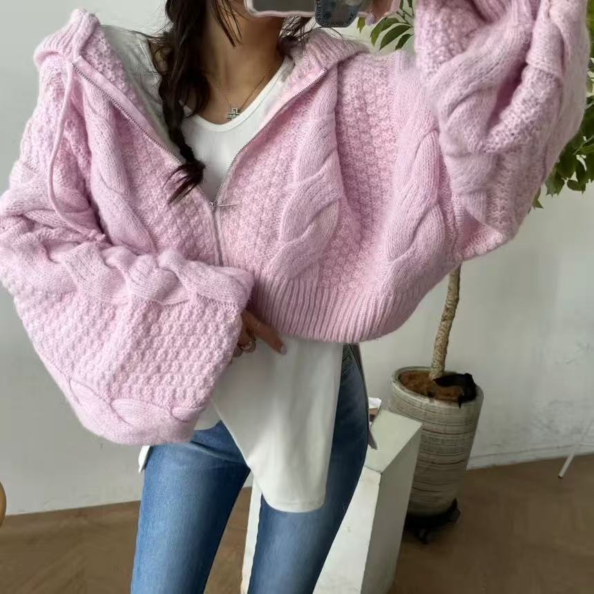 Otoño y invierno nuevo casualidad con capuzas con cremallera de manga larga camiseta de punto coreana para reducir la edad suéter corto de torsión suelta para mujeres image 7