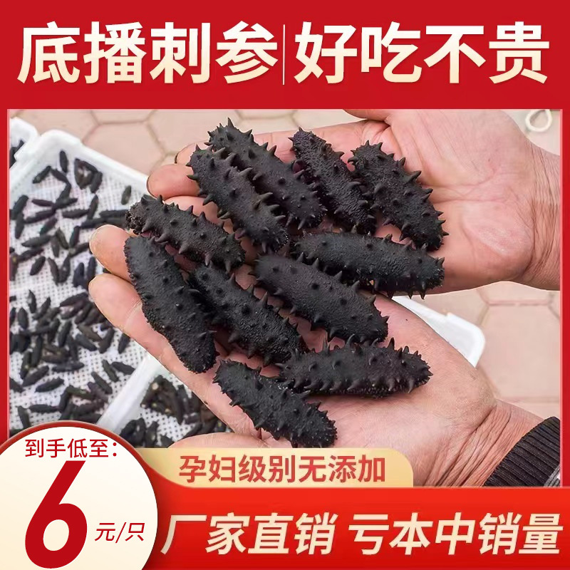 批发深海辽刺参散装家用礼盒可商用源头直供大连底播淡干海参干货