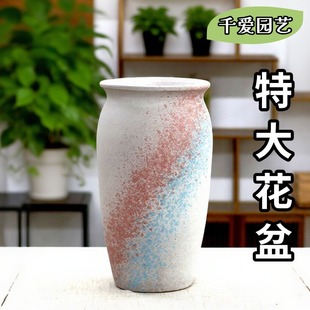 ���s��̖͸����ջ������ͥԺ���ô�ڏ��Gֲ���B���N��@���쾰