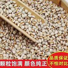 ޲����500g �F���r���Ԯa��؛����s�Z޲����޲�� �����F��޲����