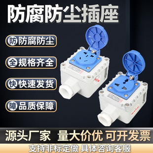 Explosion-proof socket 220V three-hole five-hole wiring board 3-open 4-open double-control explosion-proof wall switch multi-row plug