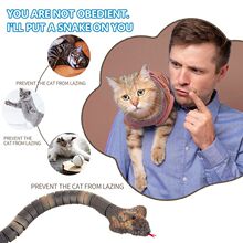 ���R�����ܸБ��b���p���ܱ��� �����ߌ������ģ�Ͷ�؈�������