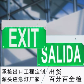 应急指示灯具;野营/露营灯;筒灯